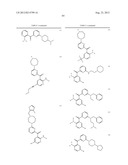 KINASE INHIBITORS diagram and image