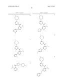 KINASE INHIBITORS diagram and image