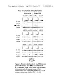 DETERMINING SENSITIVITY OF CELLS TO B-RAF INHIBITOR TREATMENT BY DETECTING     KRAS MUTATION AND RTK EXPRESSION LEVELS diagram and image