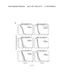 DETERMINING SENSITIVITY OF CELLS TO B-RAF INHIBITOR TREATMENT BY DETECTING     KRAS MUTATION AND RTK EXPRESSION LEVELS diagram and image