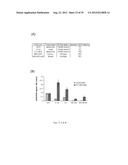 DETERMINING SENSITIVITY OF CELLS TO B-RAF INHIBITOR TREATMENT BY DETECTING     KRAS MUTATION AND RTK EXPRESSION LEVELS diagram and image