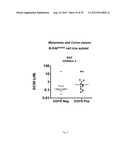 DETERMINING SENSITIVITY OF CELLS TO B-RAF INHIBITOR TREATMENT BY DETECTING     KRAS MUTATION AND RTK EXPRESSION LEVELS diagram and image