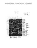 Molecular Predictors of Therapeutic Response to Specific Anti-Cancer     Agents diagram and image