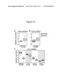 Molecular Predictors of Therapeutic Response to Specific Anti-Cancer     Agents diagram and image