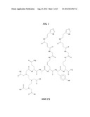 Methods and Compositions for F-18 Labeling of Proteins, Peptides and Other     Molecules diagram and image