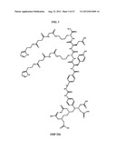 Methods and Compositions for F-18 Labeling of Proteins, Peptides and Other     Molecules diagram and image