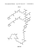 Methods and Compositions for F-18 Labeling of Proteins, Peptides and Other     Molecules diagram and image