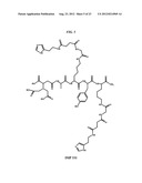 Methods and Compositions for F-18 Labeling of Proteins, Peptides and Other     Molecules diagram and image