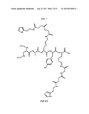 Methods and Compositions for F-18 Labeling of Proteins, Peptides and Other     Molecules diagram and image