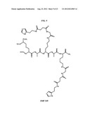 Methods and Compositions for F-18 Labeling of Proteins, Peptides and Other     Molecules diagram and image