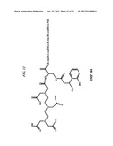 Methods and Compositions for F-18 Labeling of Proteins, Peptides and Other     Molecules diagram and image