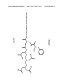 Methods and Compositions for F-18 Labeling of Proteins, Peptides and Other     Molecules diagram and image