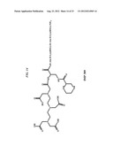 Methods and Compositions for F-18 Labeling of Proteins, Peptides and Other     Molecules diagram and image