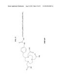 Methods and Compositions for F-18 Labeling of Proteins, Peptides and Other     Molecules diagram and image