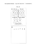 Methods and Compositions for F-18 Labeling of Proteins, Peptides and Other     Molecules diagram and image