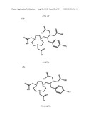 Methods and Compositions for F-18 Labeling of Proteins, Peptides and Other     Molecules diagram and image