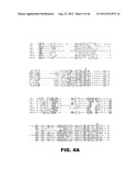 COMPOSITIONS AND METHODS FOR MODULATING LYMPHOCYTE ACTIVITY diagram and image