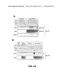 COMPOSITIONS AND METHODS FOR MODULATING LYMPHOCYTE ACTIVITY diagram and image