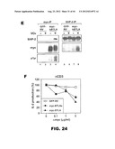 COMPOSITIONS AND METHODS FOR MODULATING LYMPHOCYTE ACTIVITY diagram and image