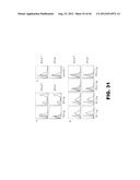 COMPOSITIONS AND METHODS FOR MODULATING LYMPHOCYTE ACTIVITY diagram and image