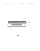 DERMAL DELIVERY DEVICE diagram and image