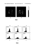 LUNG FUNCTION ANALYSIS METHOD AND APPARATUS diagram and image