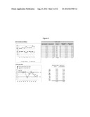 COMPUTER METRICS SYSTEM AND PROCESS FOR IMPLEMENTING SAME diagram and image