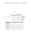 COMPUTER METRICS SYSTEM AND PROCESS FOR IMPLEMENTING SAME diagram and image