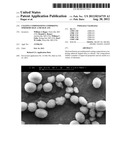 COATING COMPOSITIONS COMPRISING SPHEROID SILICA OR SILICATE diagram and image