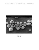 COATING COMPOSITIONS COMPRISING SPHEROID SILICA OR SILICATE diagram and image