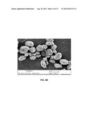 COATING COMPOSITIONS COMPRISING SPHEROID SILICA OR SILICATE diagram and image