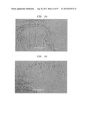 Method Of Making A Fabric-Creped Absorbent Cellulosic Sheet diagram and image