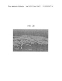 Method Of Making A Fabric-Creped Absorbent Cellulosic Sheet diagram and image