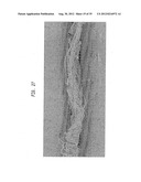 Method Of Making A Fabric-Creped Absorbent Cellulosic Sheet diagram and image