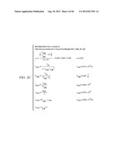 THREE DIMENTIONAL (3D) ROBOTIC MICRO ELECTRO MECHANICAL SYSTEMS (MEMS) ARM     AND SYSTEM diagram and image