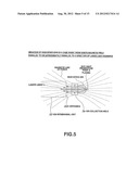 APPARATUS FOR AND METHOD OF WITHDRAWING IONS IN EUV LIGHT PRODUCTION     APPARATUS diagram and image