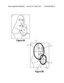 Automatic Detection of Vertical Gaze Using an Embedded Imaging Device diagram and image