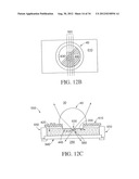 AXIAL ILLUMINATION FOR CAPILLARY ELECTROPHORESIS diagram and image