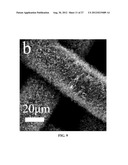 CARBON NANOSTRUCTURES FROM PYROLYSIS OF ORGANIC MATERIALS diagram and image