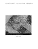 CARBON NANOSTRUCTURES FROM PYROLYSIS OF ORGANIC MATERIALS diagram and image