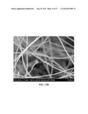 CARBON NANOSTRUCTURES FROM PYROLYSIS OF ORGANIC MATERIALS diagram and image