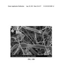 CARBON NANOSTRUCTURES FROM PYROLYSIS OF ORGANIC MATERIALS diagram and image