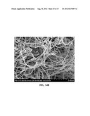 CARBON NANOSTRUCTURES FROM PYROLYSIS OF ORGANIC MATERIALS diagram and image