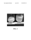 EXPANDED PERCARBONATE SALTS, METHODS OF PRODUCTION AND USES THEREOF diagram and image