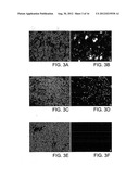 COMPOSITIONS AND METHODS OF GENERATING REPROGRAMMED ADIPOCYTE CELLS AND     METHODS OF USE THEREFORE diagram and image