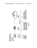 COMPOSITIONS AND METHODS OF GENERATING REPROGRAMMED ADIPOCYTE CELLS AND     METHODS OF USE THEREFORE diagram and image