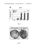 METHODS AND PHARMACEUTICAL COMPOSITIONS FOR THE TREATMENT OF DISORDERS OF     GLUCOSE HOMEOSTASIS diagram and image