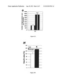 METHODS AND PHARMACEUTICAL COMPOSITIONS FOR THE TREATMENT OF DISORDERS OF     GLUCOSE HOMEOSTASIS diagram and image