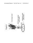 AUTO-ANTIBODY MARKERS OF AUTOIMMUNE DISEASE diagram and image