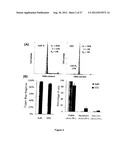 Spheroidal Aggregates of Mesenchymal Stem Cells diagram and image